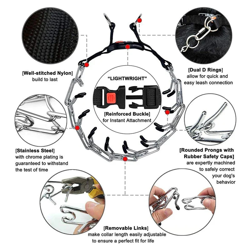 Prong Dog Training Collar