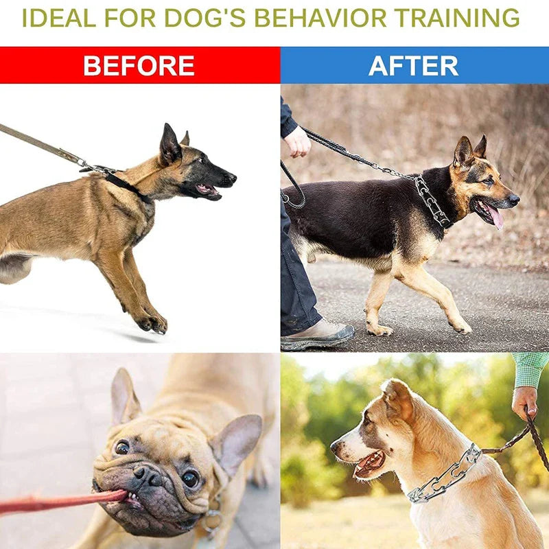 Prong Dog Training Collar