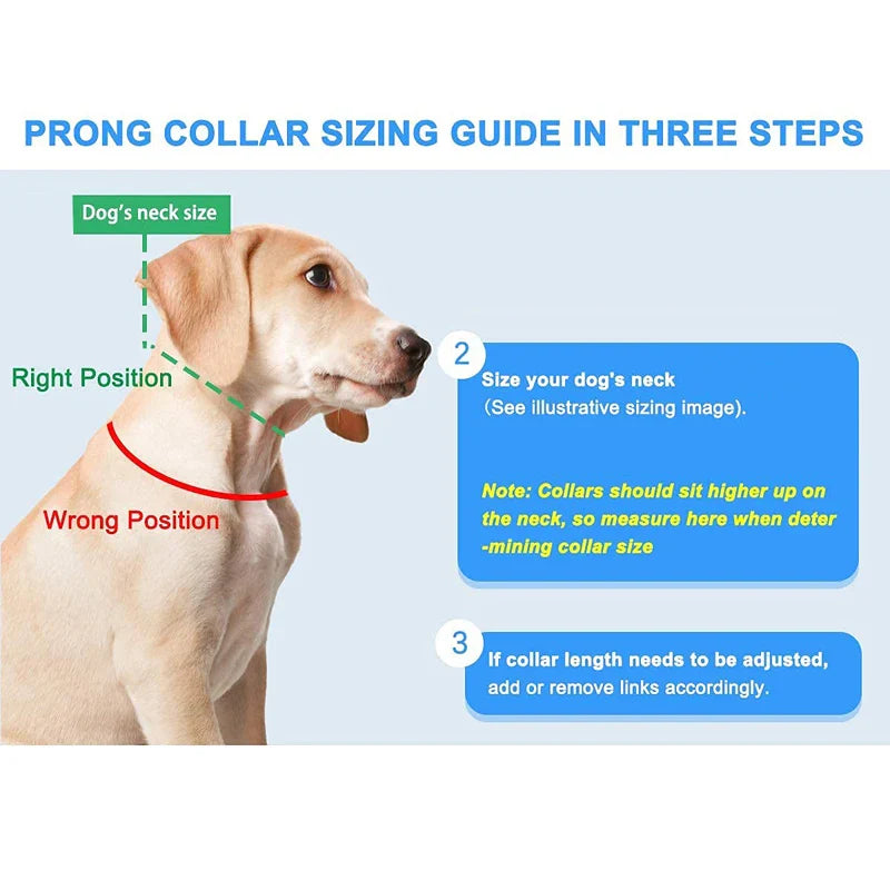Prong Dog Training Collar