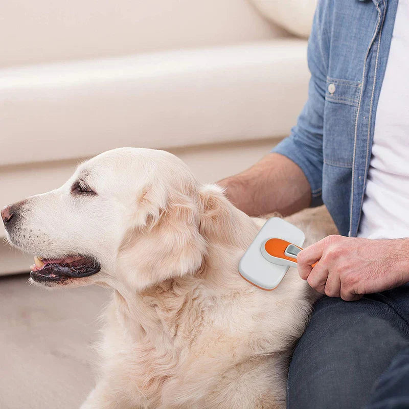 Self-Cleaning Dog Brush