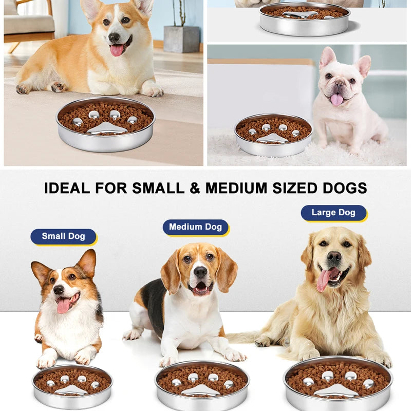 Stainless Steel Slow Feed Dog Bowl