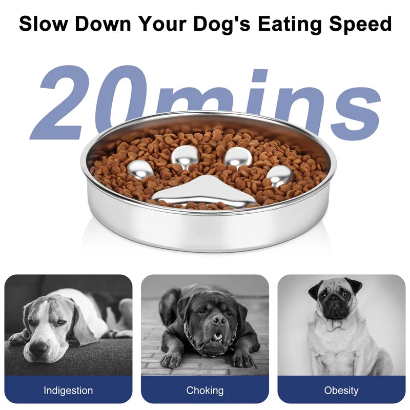 Stainless Steel Slow Feed Dog Bowl