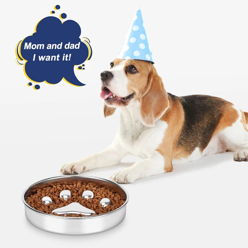Stainless Steel Slow Feed Dog Bowl