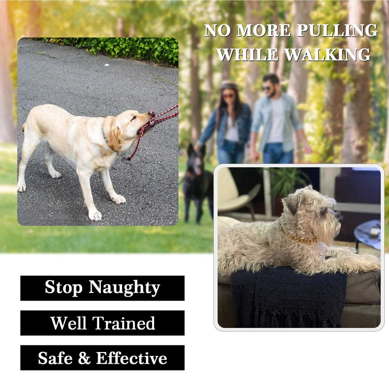 Strong Gold Stainless Steel Dog Chain