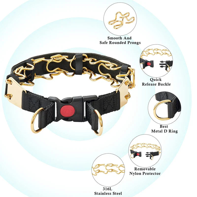 Stainless Steel Prong Dog Collar