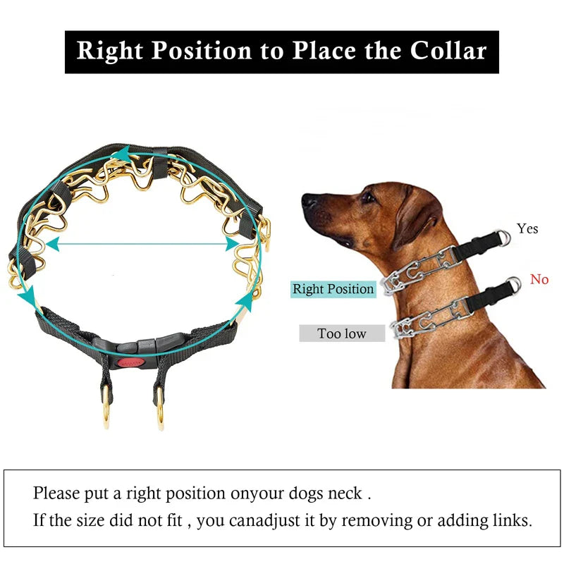 Stainless Steel Prong Dog Collar