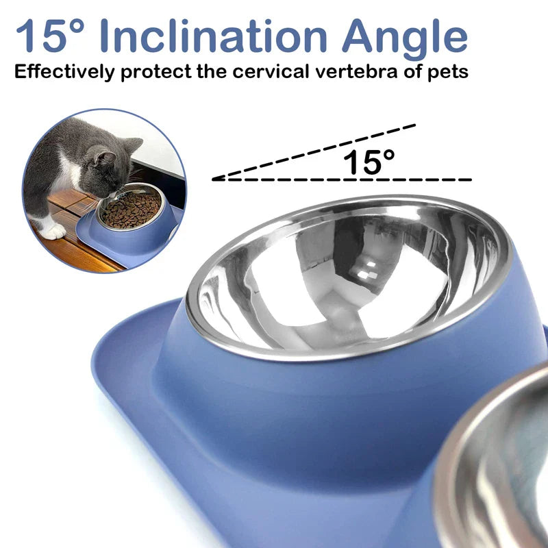 Stainless Steel Tilted Double Dog Bowl