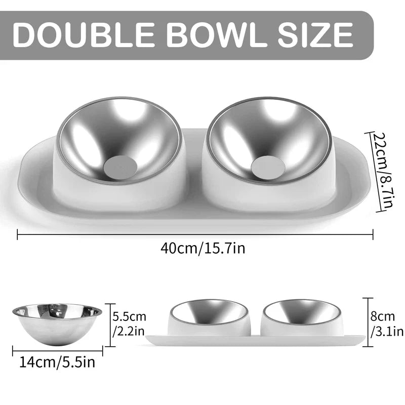 Stainless Steel Tilted Double Dog Bowl