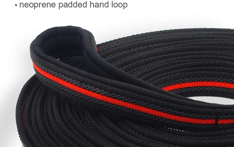 Sturdy Long Dog Training Leash