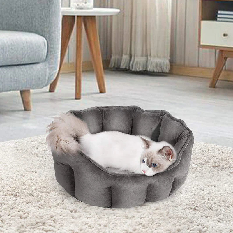 Ultra Soft Washable Pet Bed with Detachable Cushion
