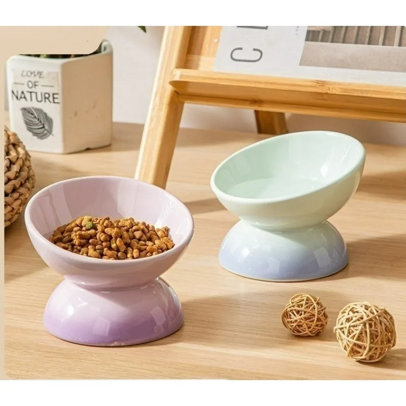 Gradient Ceramic Cat Bowl