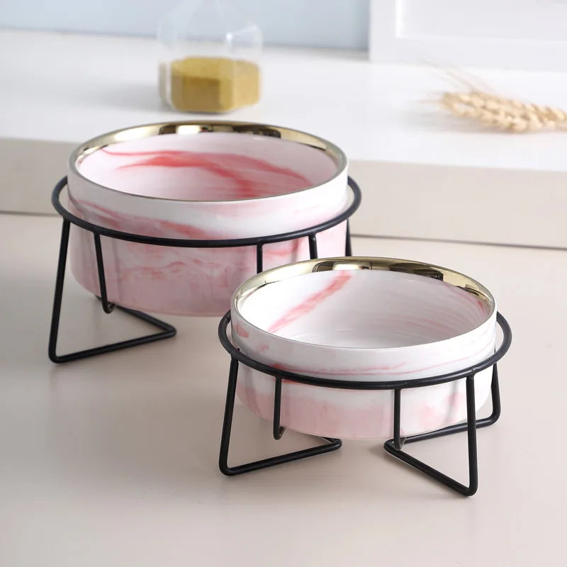 Raised Double Ceramic Bowl for Pets
