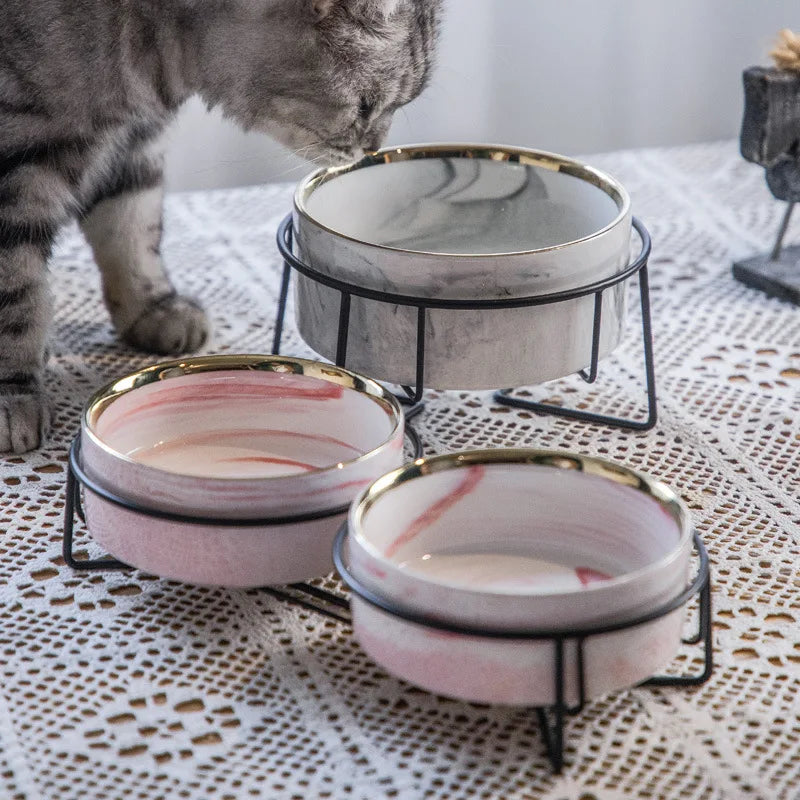 Raised Double Ceramic Bowl for Pets