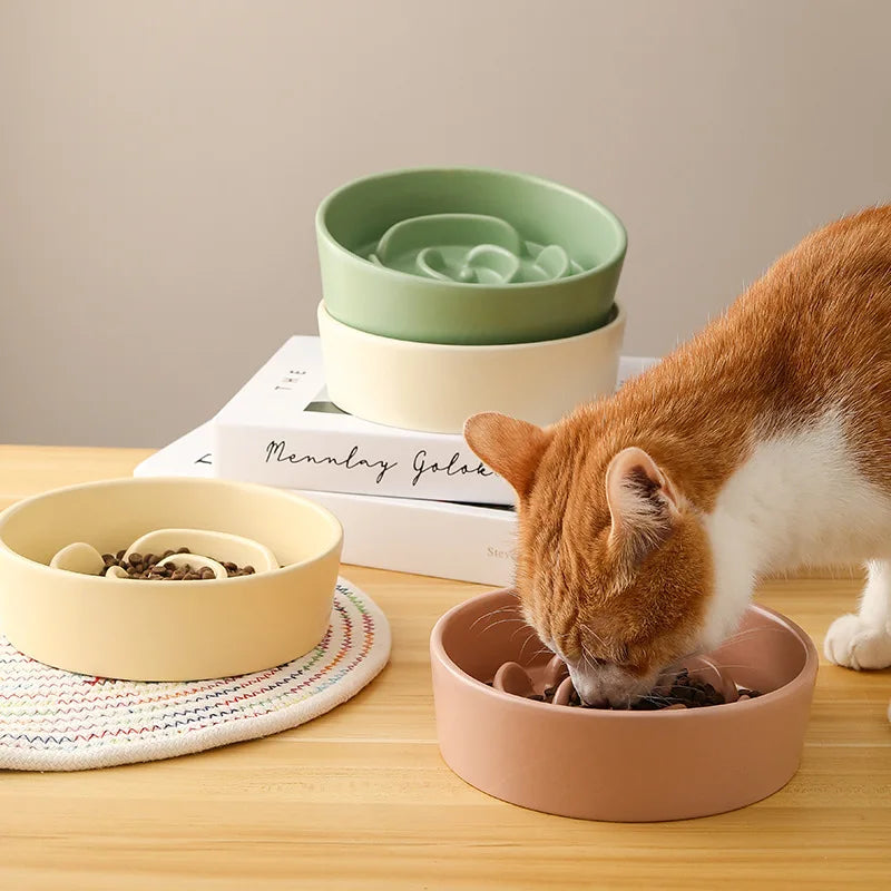 Ceramic Slow Food Bowl for Cats and Dogs