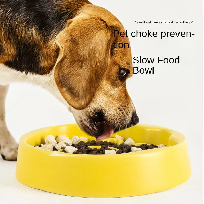 Ceramic Slow Feed Bowl For Pets