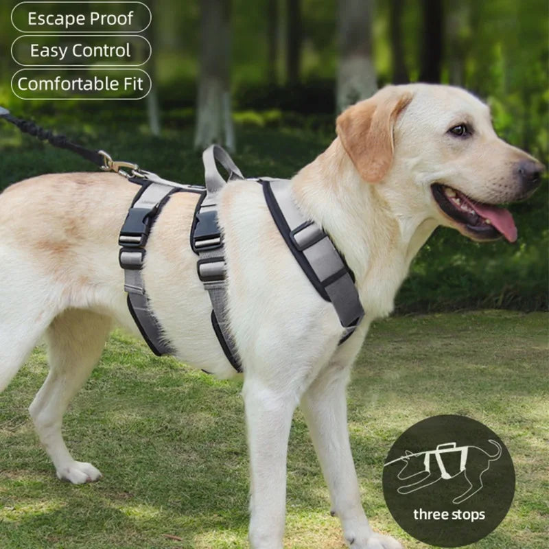 Padded Dog Harness (Escape-Proof, Adjust)
