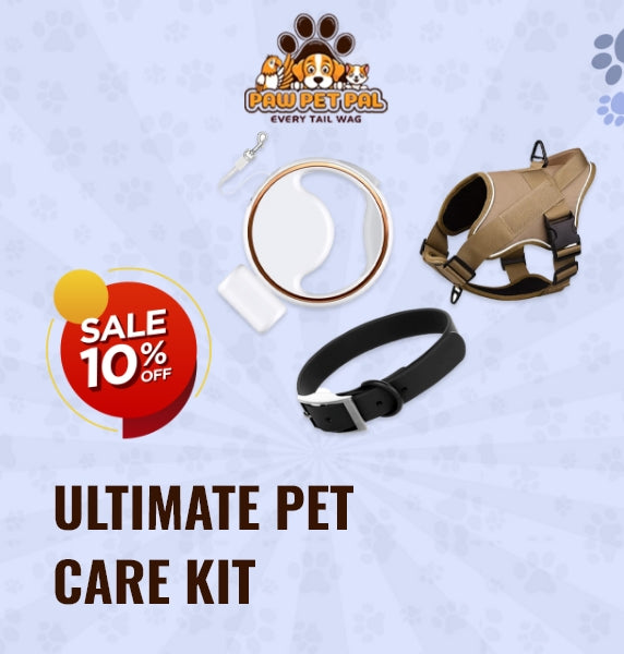 Ultimate Dog Walking Kit