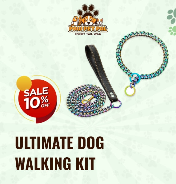 Stainless Steel Leash & Collar Set