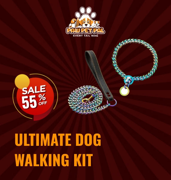 Stainless Steel Leash & Collar Set