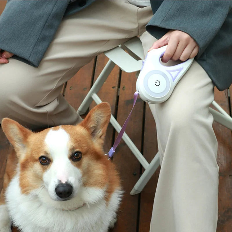 LED Automatic Retractable Dog Leash