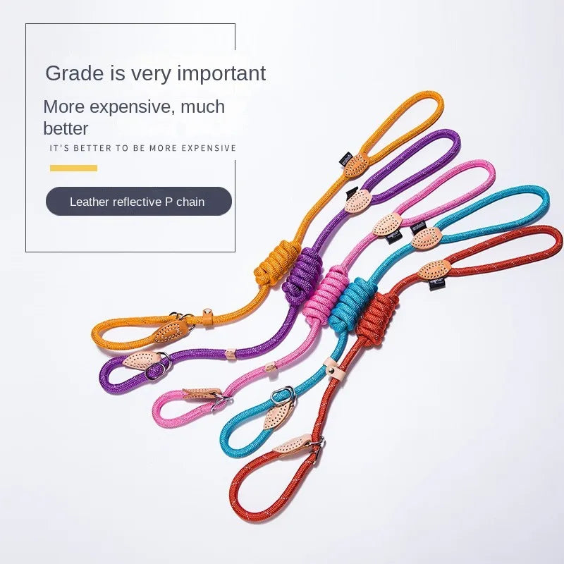 Nylon Reflective Dog Leash For Pets Training