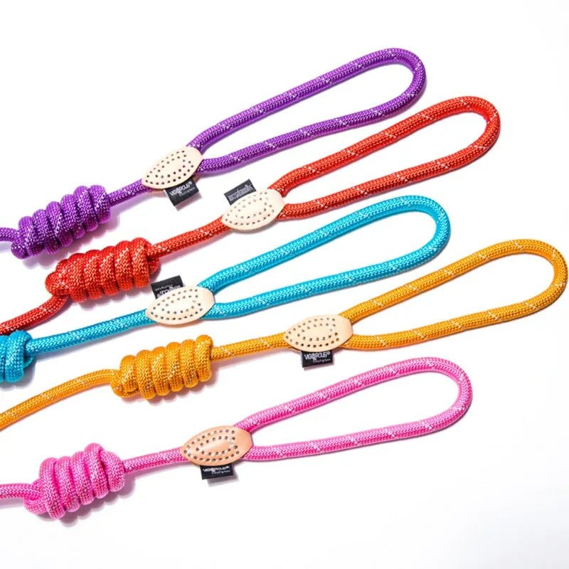 Nylon Reflective Dog Leash For Pets Training