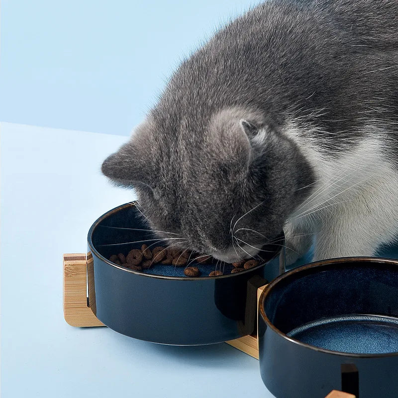 Starry Ceramic Double Bowl For Cat and Dog