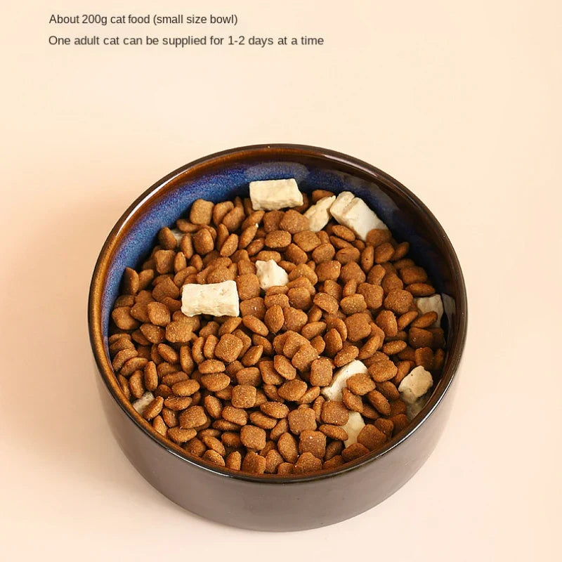 Starry Ceramic Double Bowl For Cat and Dog