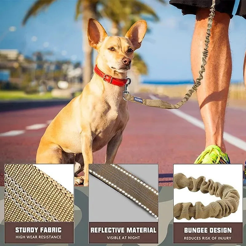 Reflective Nylon Training Leash