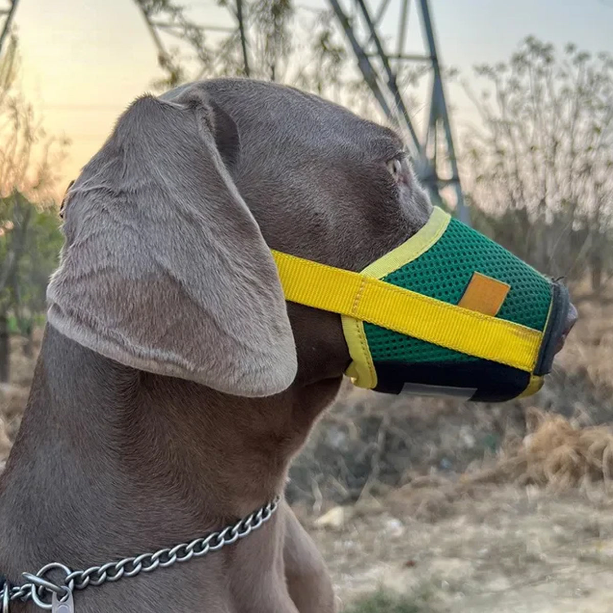 Adjustable Mesh Dog Muzzle (Anti-Bark)