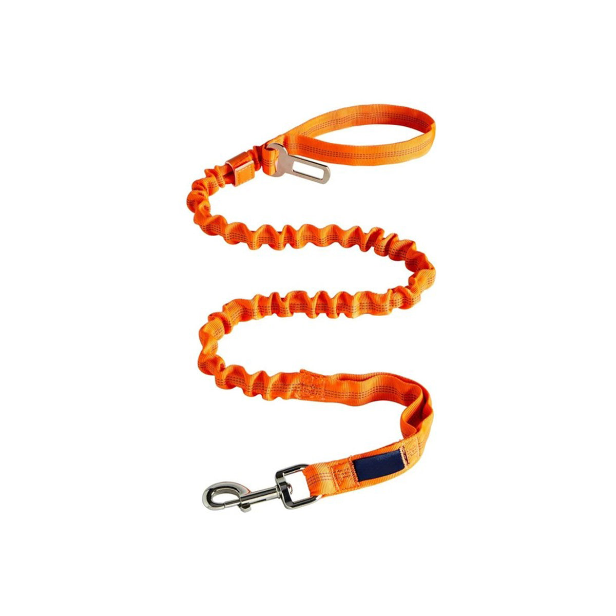 Reflective Nylon Training Leash