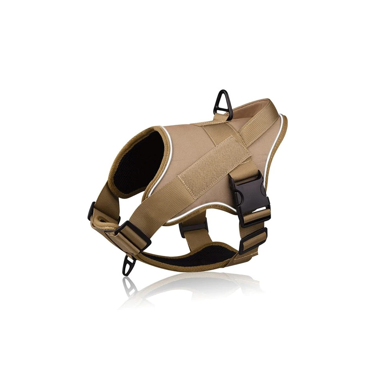 Ultimate Dog Walking Kit