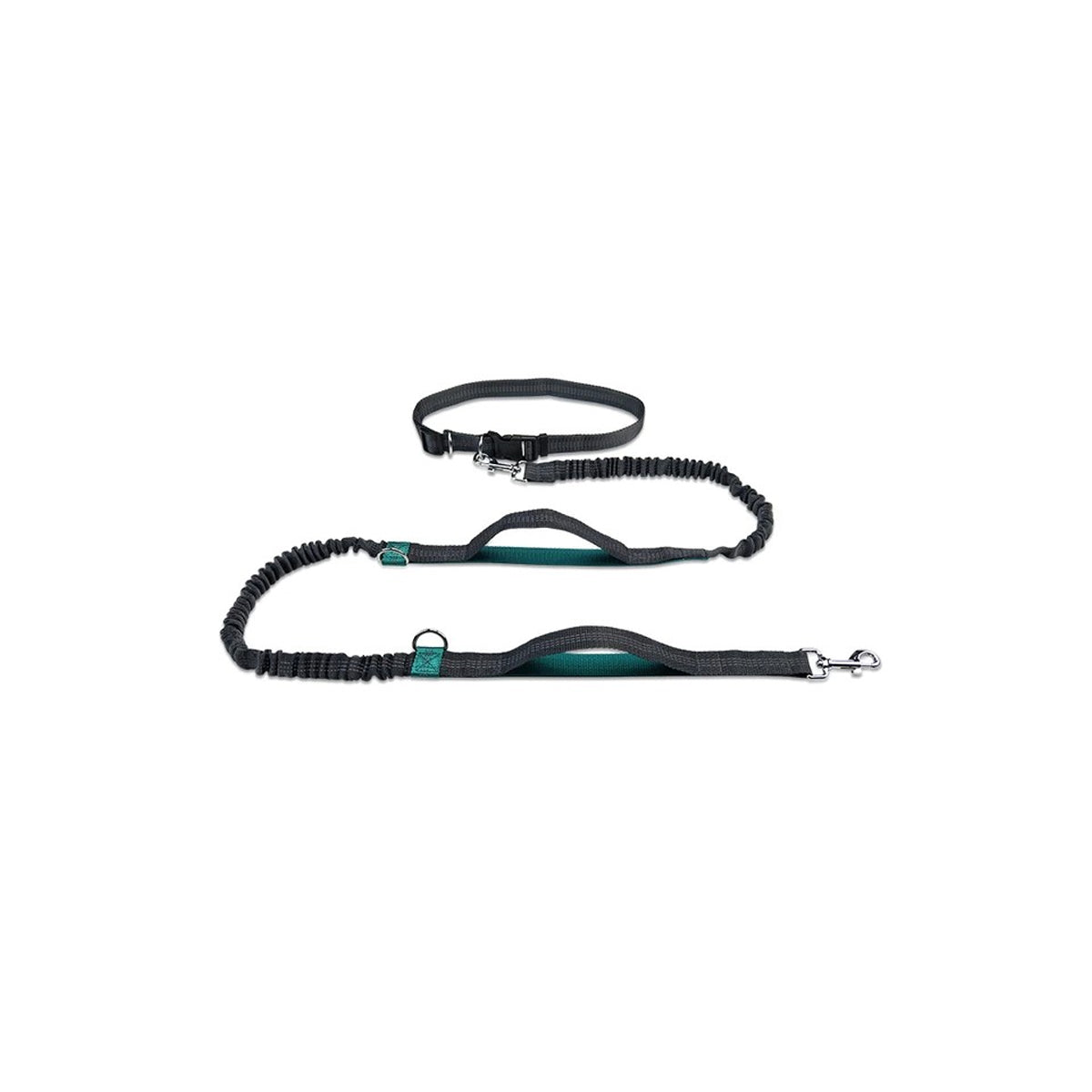 Hands-Free Dog Leash with Dual Handles