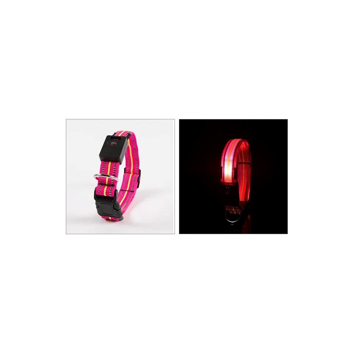 Comfortable USB Rechargeable LED Dog Collar