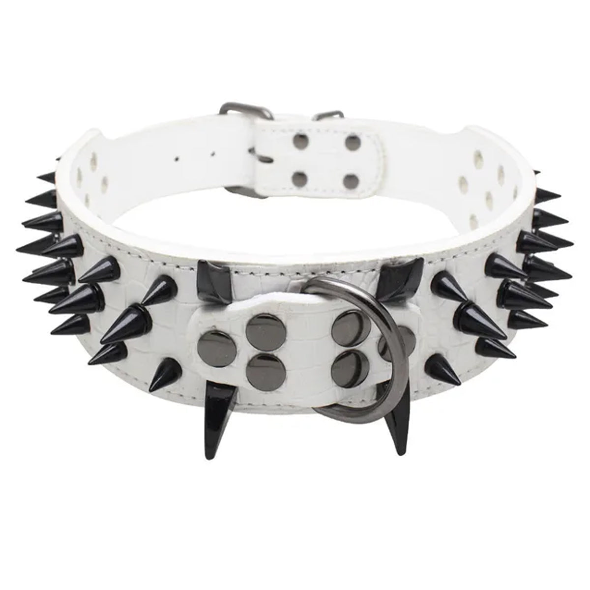 Genuine Leather Spiked Dog Collar