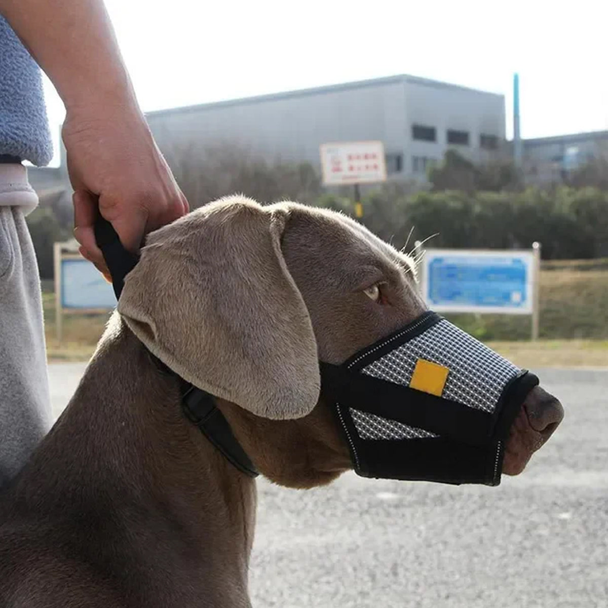 Adjustable Mesh Dog Muzzle (Anti-Bark)