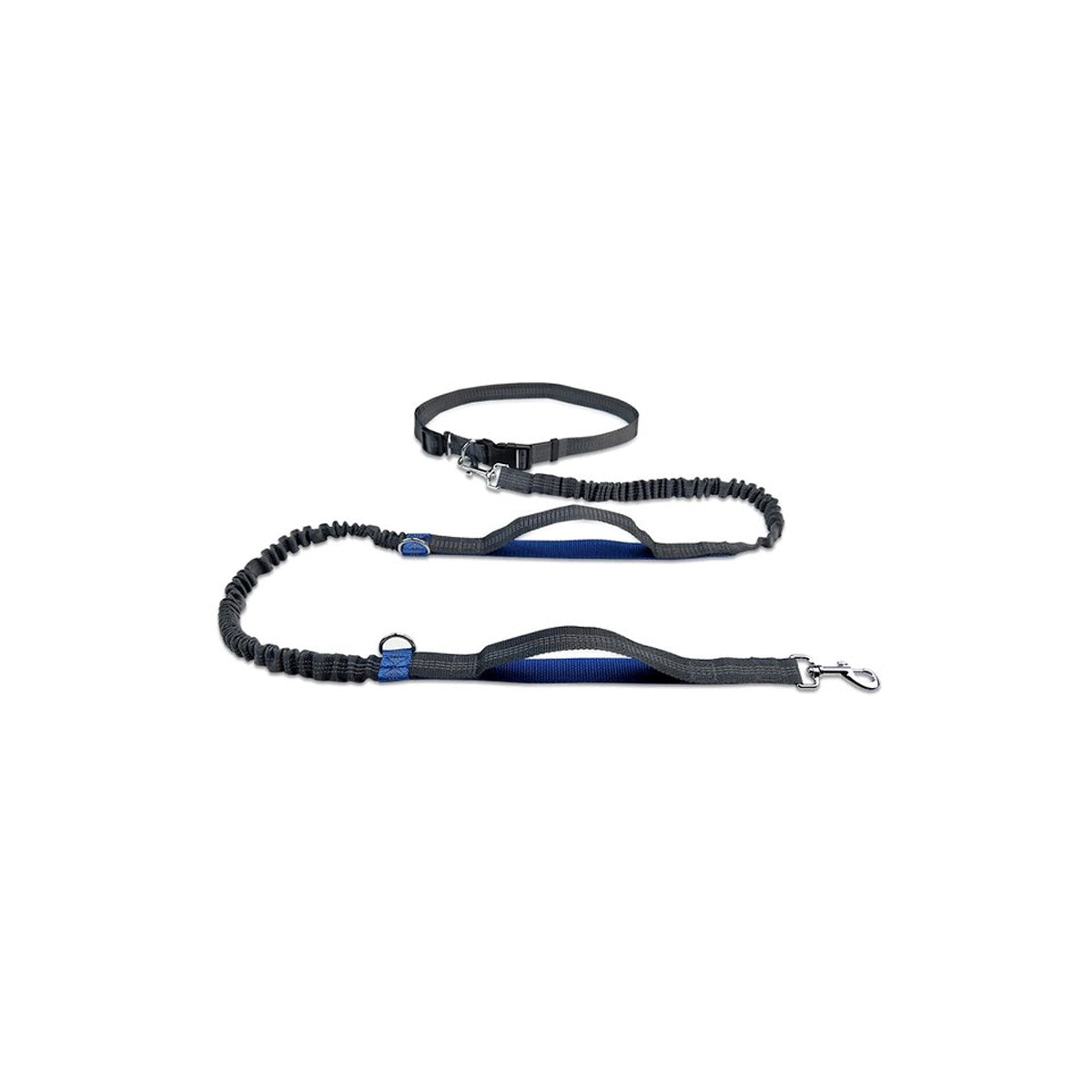 Hands-Free Dog Leash with Dual Handles