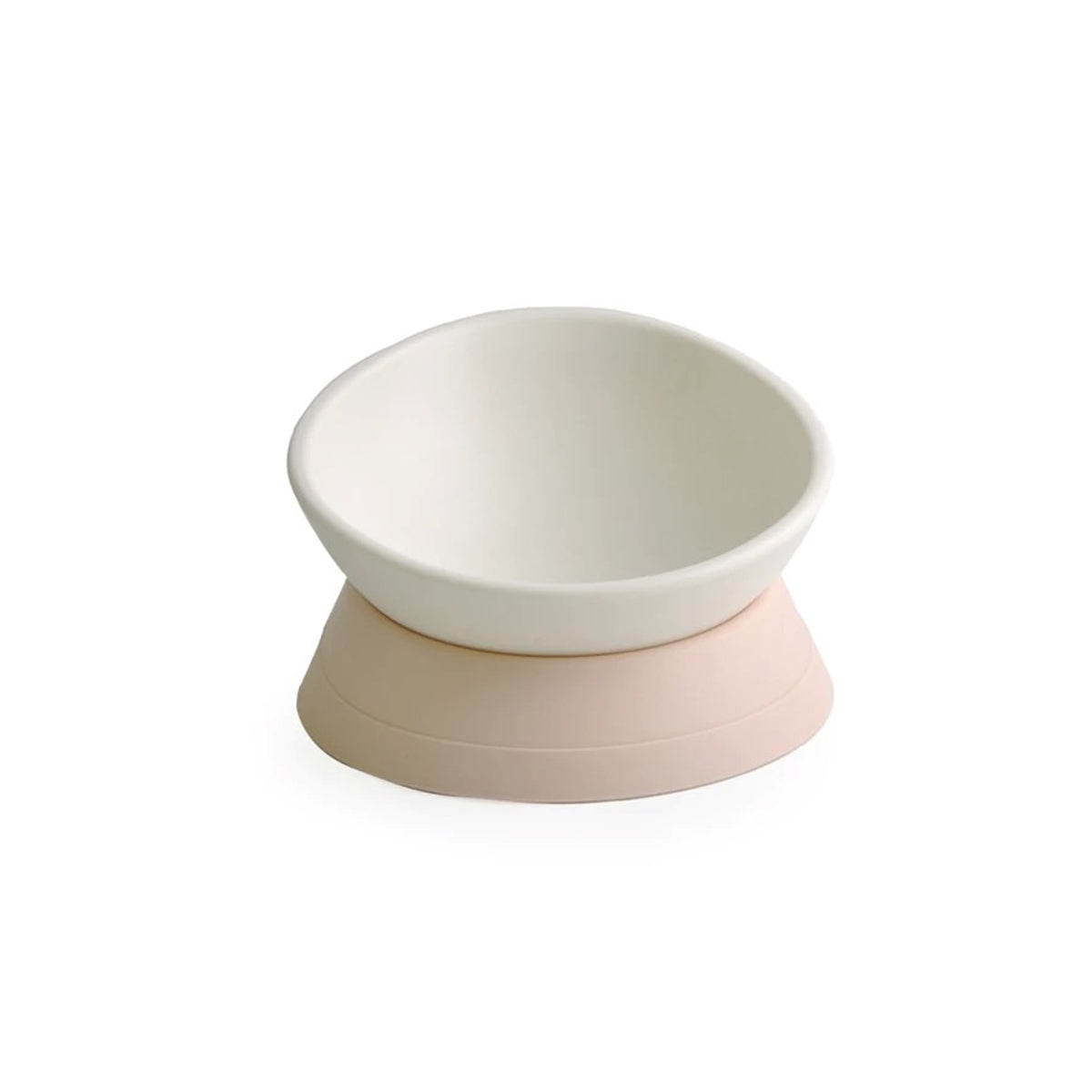Adjustable Tilted & Raised Pet Bowl with Stand