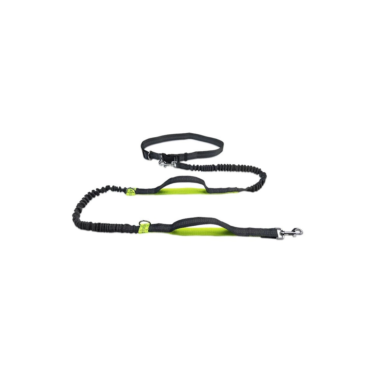 Hands-Free Dog Leash with Dual Handles