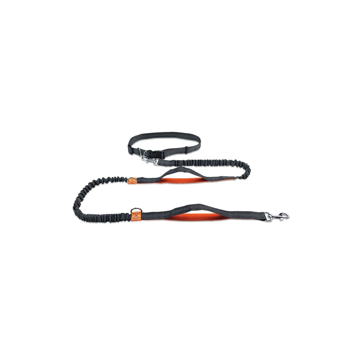Hands-Free Dog Leash with Dual Handles
