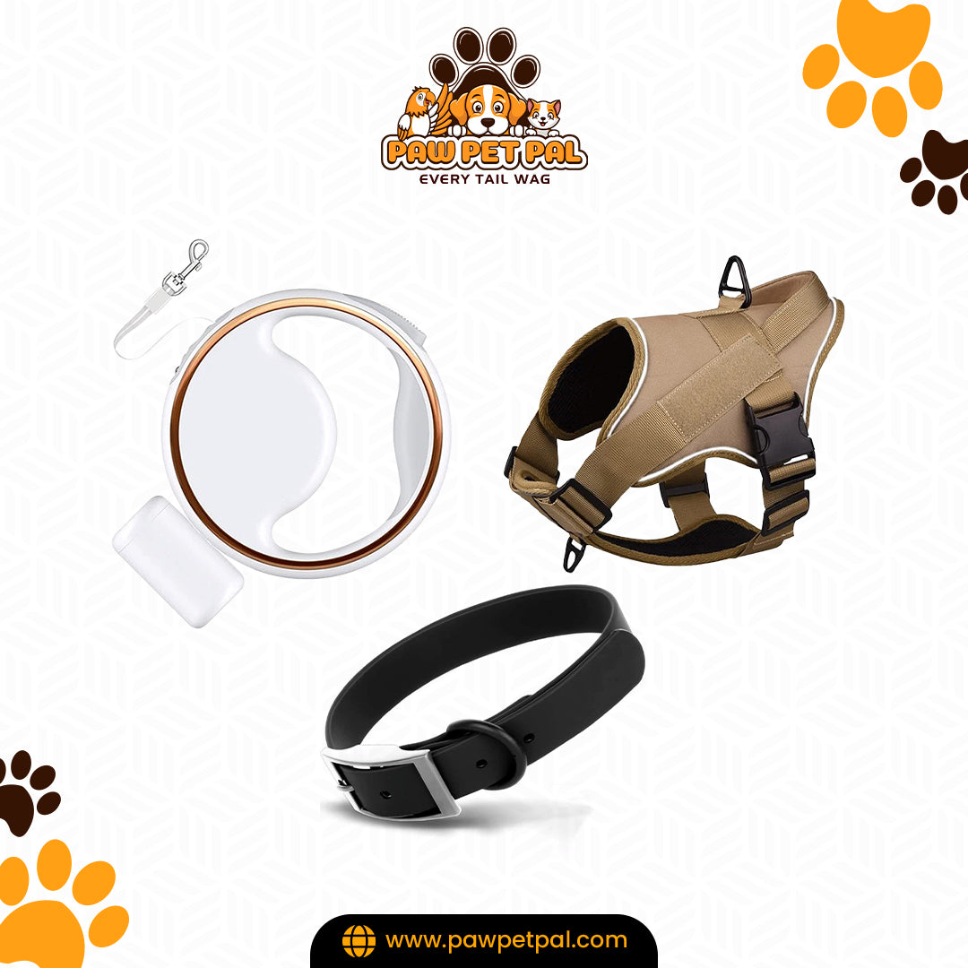 Ultimate Dog Walking Kit