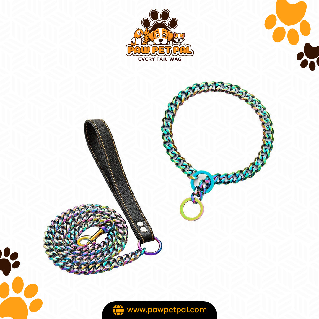 Stainless Steel Leash & Collar Set