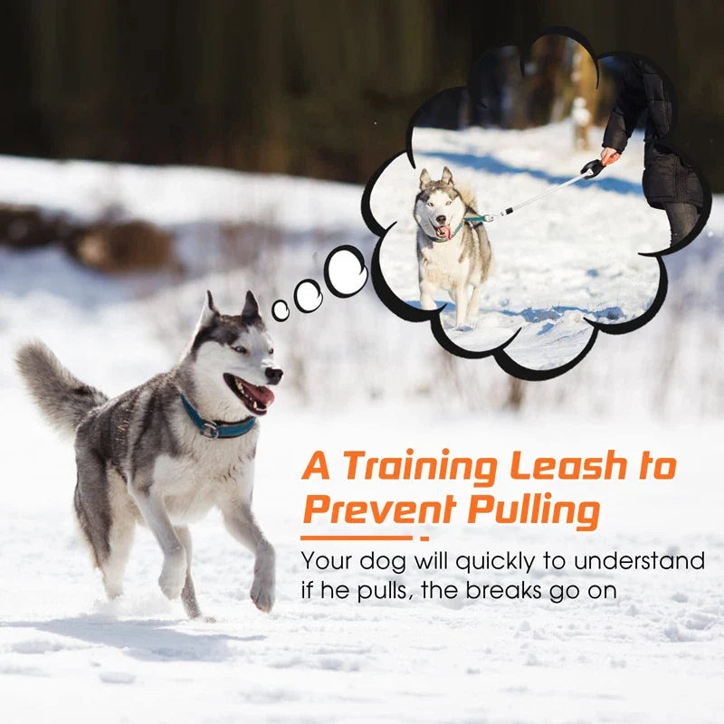 Autobrake Retractable Dog Leash