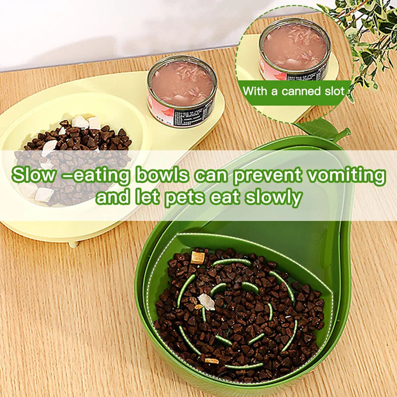 Auto Waterer & Raised Slow Feeder