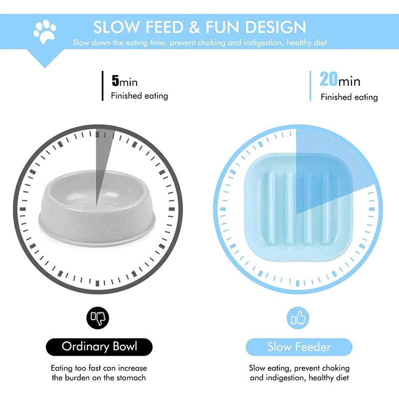 Eco-Friendly Slow Feed Bowl