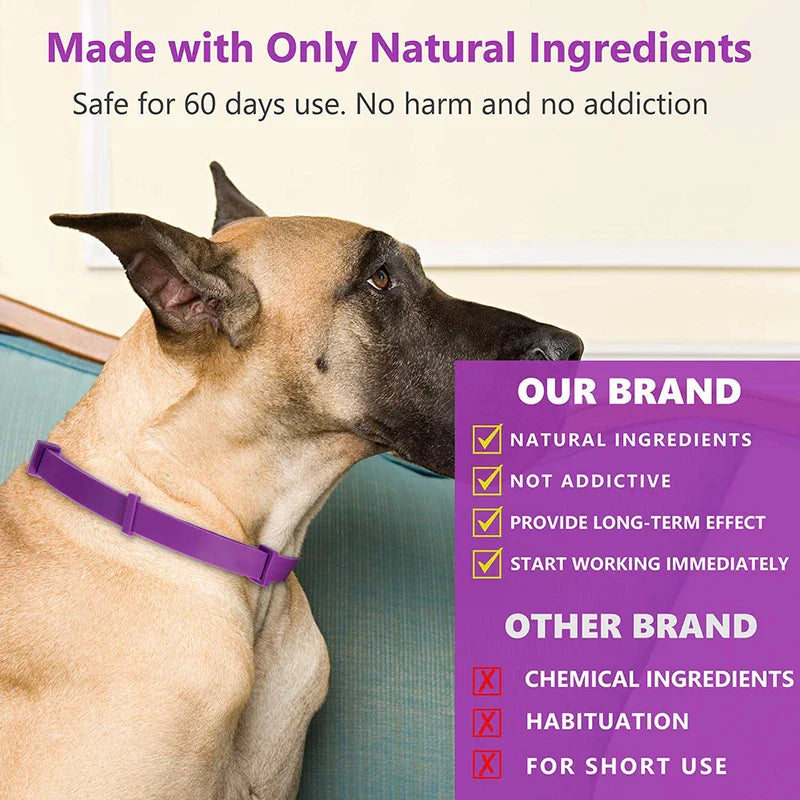 Effective Calming Collar for Cats & Dogs