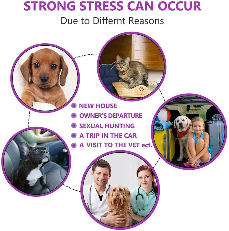 Effective Calming Collar for Cats & Dogs