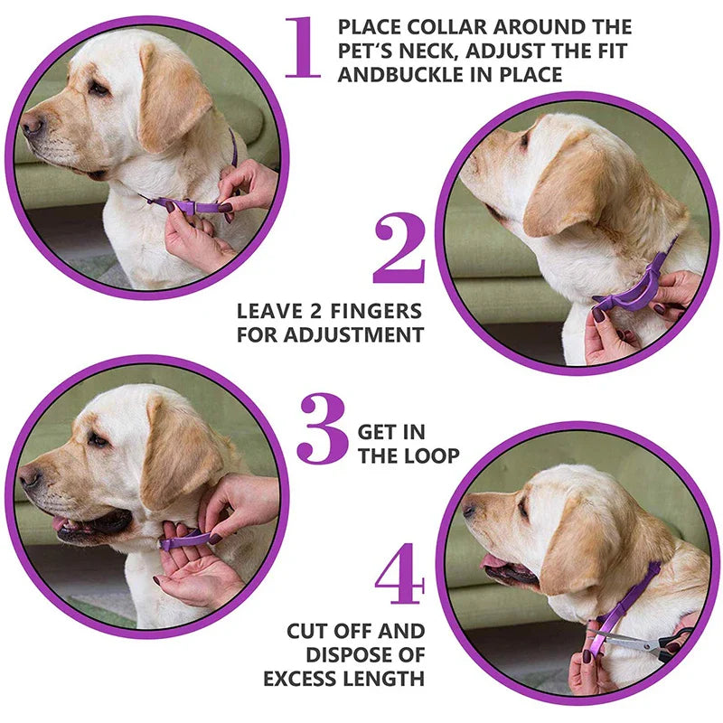Effective Calming Collar for Cats & Dogs