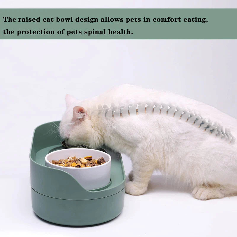 Elevated Dog & Cat Bowls