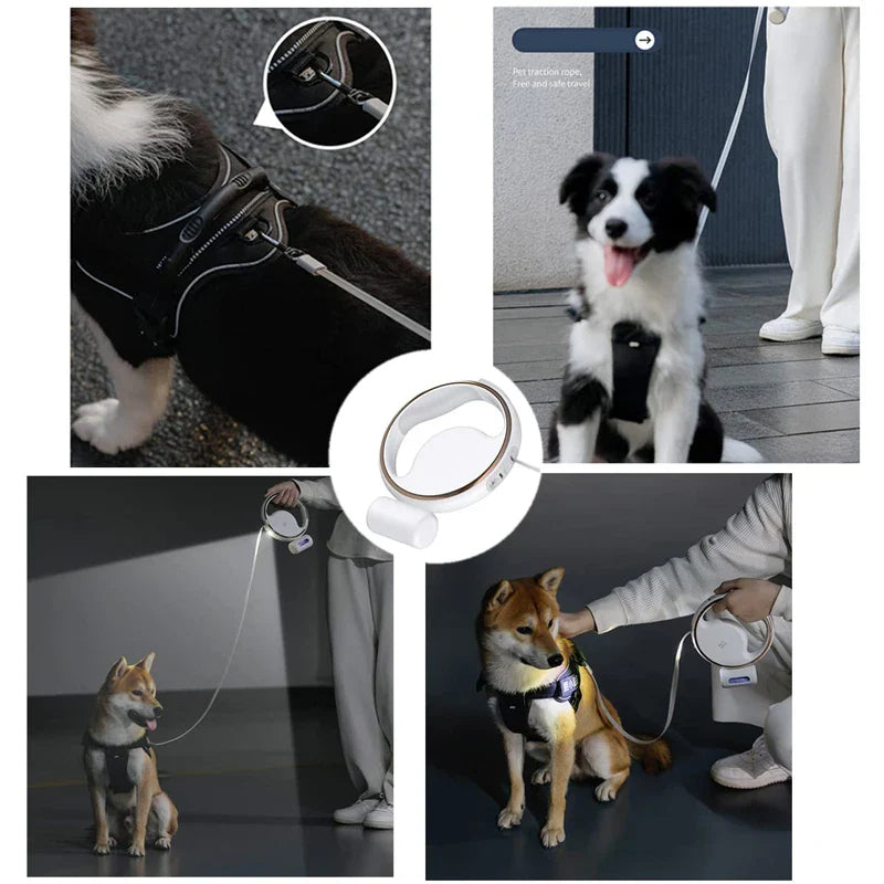 Heavy Duty Retractable Dog Leash